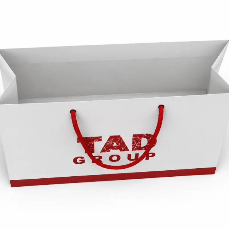 Premium Custom Landscape Paper Shopping Bag with Rope Handle | 14 × 10 × 4 Inch