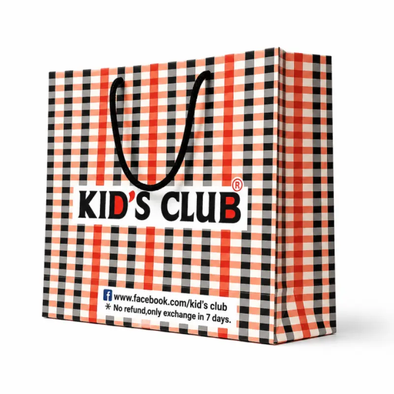 Custom Printed Premium Paper Shopping Bag – Kid's Club Style | 13 × 10.25 × 3 Inch